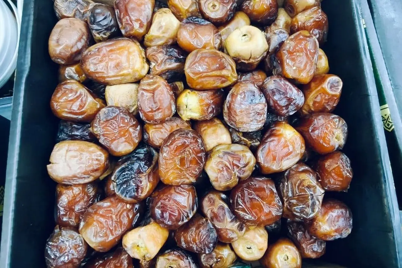 Pasar Kurma Ramadhan 2026 Melambat, Pengusaha Sebut Penjualan Turun 15 Persen Akibat Ekonomi Pasar Kurma Ramadhan 2026 Melambat, Pengusaha Sebut Penjualan Turun 15 Persen Akibat Ekonomi