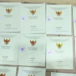 Pemerintah Tetapkan Aturan Sita Tanah Telantar: HGB dan HGU Tak Terpakai 2 Tahun Jadi Target