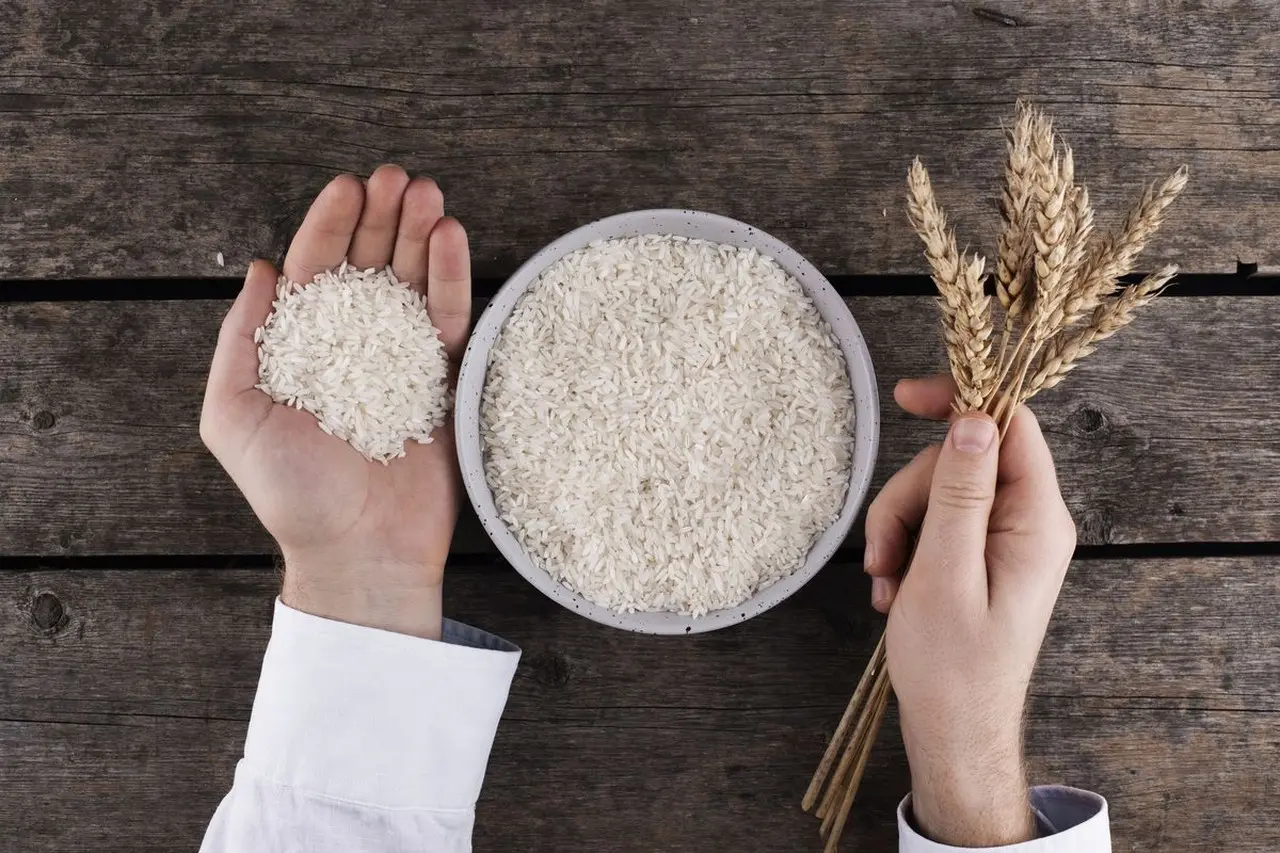 Pemerintah Tetapkan Impor 1.000 Ton Beras AS dalam Kerangka ART, Jamin Tak Ganggu Swasembada Pangan