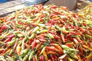 Pemerintah Ungkap Strategi Stabilisasi Harga Cabai: 10,9 Ton Cabai Rawit Merah Banjiri Pasar Induk Kramat Jati