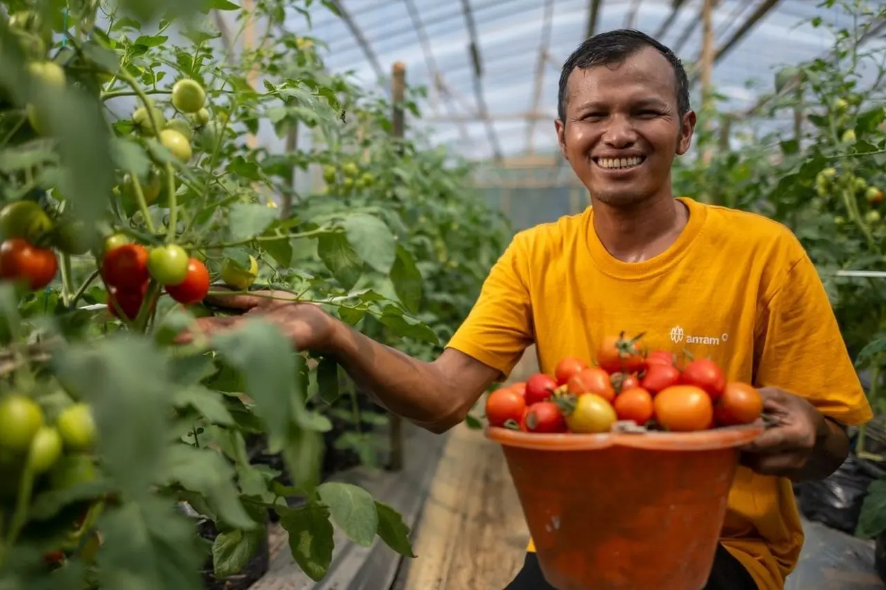 Pencegahan Tambang Ilegal: Wahyudin Ubah 35 Hektar Lahan Tidur Jadi Produktif, Turunkan Kemiskinan Desa 6,52 Persen
