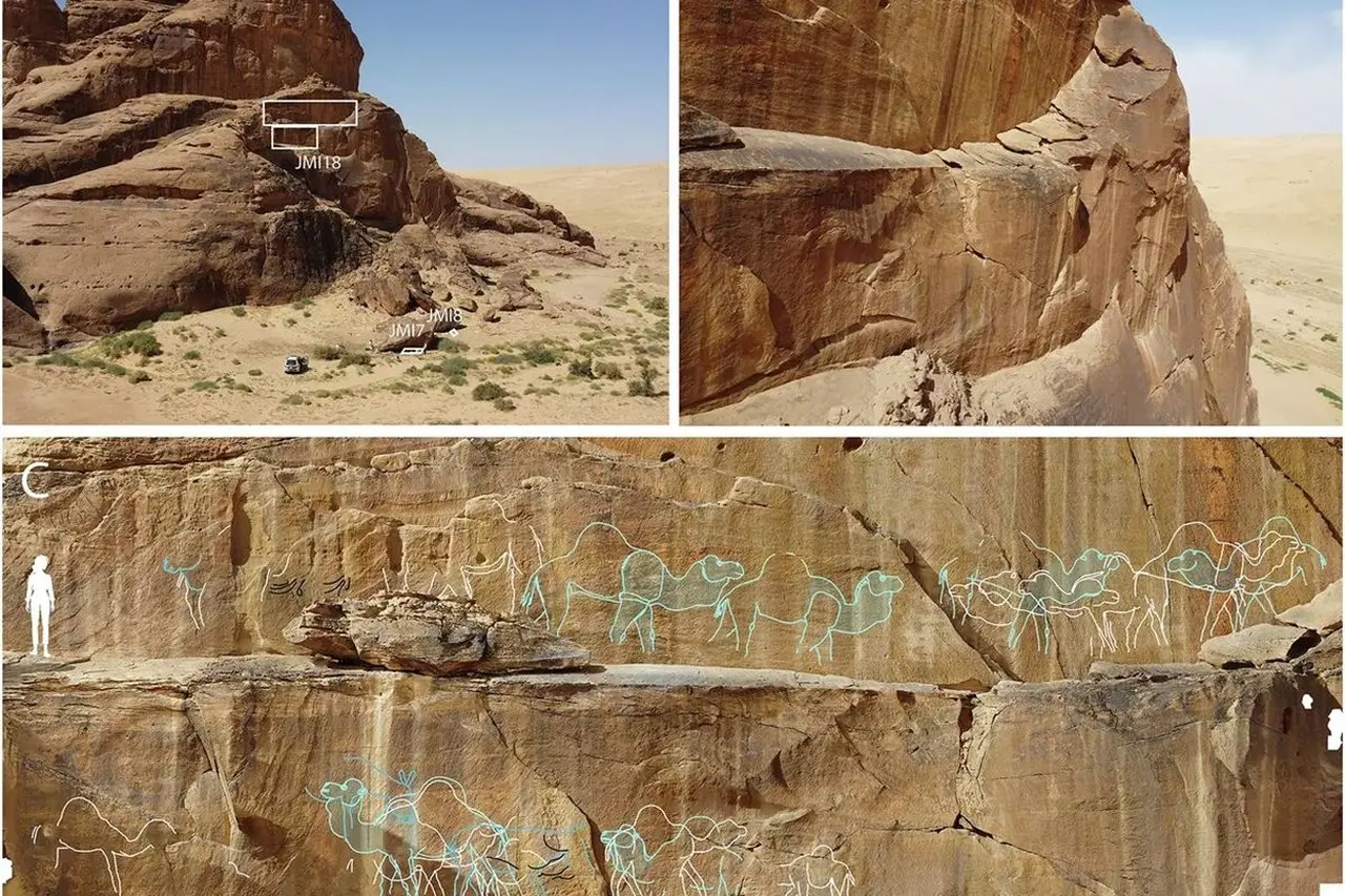 Peneliti Uraikan Kehidupan Pemburu-Peramu Arabia Melalui 130 Ukiran Unta Berusia 12 Milenium Peneliti Uraikan Kehidupan Pemburu-Peramu Arabia Melalui 130 Ukiran Unta Berusia 12 Milenium