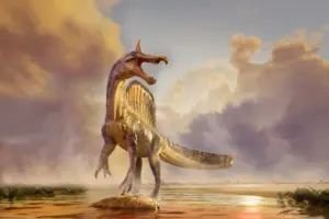 Penemuan Spinosaurus Mirabilis: Spesies Baru Berjambul Pedang 50 Cm Terungkap di Gurun Sahara