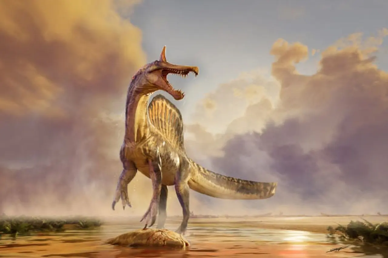 Penemuan Spinosaurus Mirabilis: Spesies Baru Berjambul Pedang 50 Cm Terungkap di Gurun Sahara