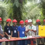 Petani Sawit di Berbagai Daerah Merugi Akibat Bibit Palsu, Program Perkasa Hadir Beri Solusi Agronomi