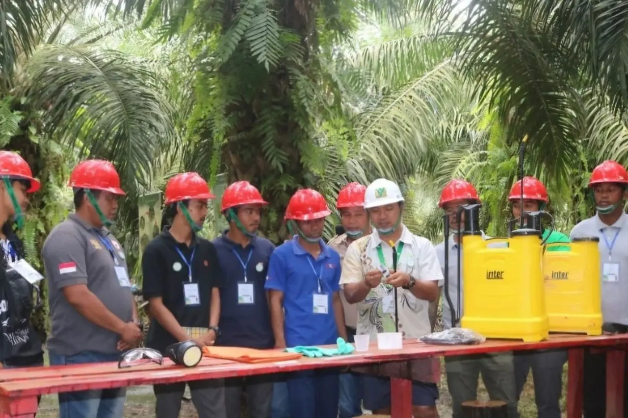 Petani Sawit di Berbagai Daerah Merugi Akibat Bibit Palsu, Program Perkasa Hadir Beri Solusi Agronomi