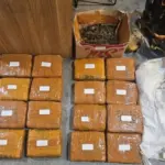 Polda Metro Jaya Sita 18 Kg Ganja dari Pengedar di Jakarta Barat, Tersangka Ditangkap Berkat Laporan Warga