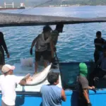 Portugal Lirik Komoditas Perikanan Maluku, Gubernur Hendrik Lewerissa Bahas Peluang Investasi