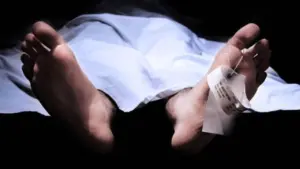 Pria di Bogor Ditemukan Tewas di Atap Saat Perbaiki Genting Bocor, Damkar Lakukan Evakuasi Dramatis