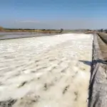 PT Garam Siapkan Investasi Rp 10 Triliun Bangun 7 Pabrik Garam Baru demi Swasembada 2027