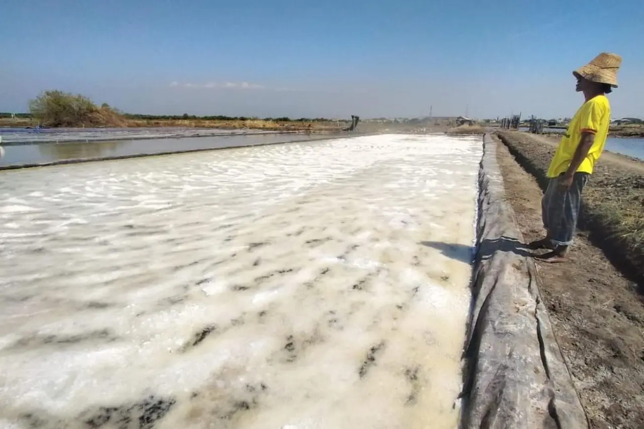PT Garam Siapkan Investasi Rp 10 Triliun Bangun 7 Pabrik Garam Baru demi Swasembada 2027