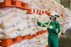 Pupuk Subsidi Kembali untuk Sektor Perikanan Budidaya: Anggaran Rp300 Miliar Disiapkan, 29.500 Ton Nasional