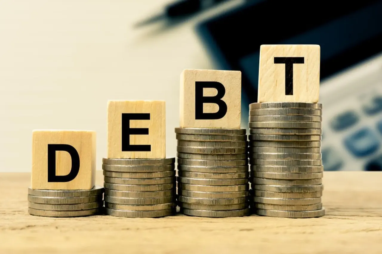 Rasio Utang Pemerintah Berpotensi Naik ke 42 Persen, Ekonom Soroti Standar Internasional IMF