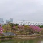 Realme Pamerkan Kemampuan Kamera 200 MP dan Lensa Telefoto 3,5x pada Ponsel Misterius di Shenzhen