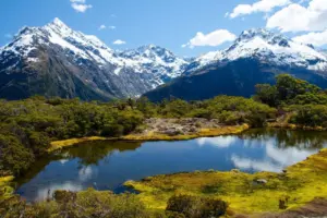 Selandia Baru Umumkan Beasiswa Manaaki: Raih Kuliah S2-S3 Gratis, Prioritas Wilayah Timur Indonesia