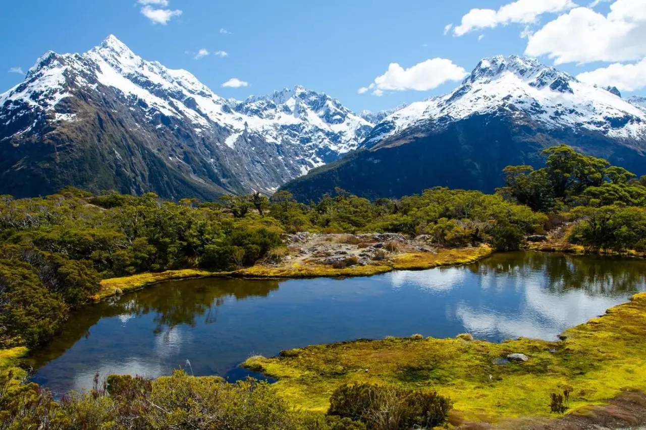 Selandia Baru Umumkan Beasiswa Manaaki: Raih Kuliah S2-S3 Gratis, Prioritas Wilayah Timur Indonesia