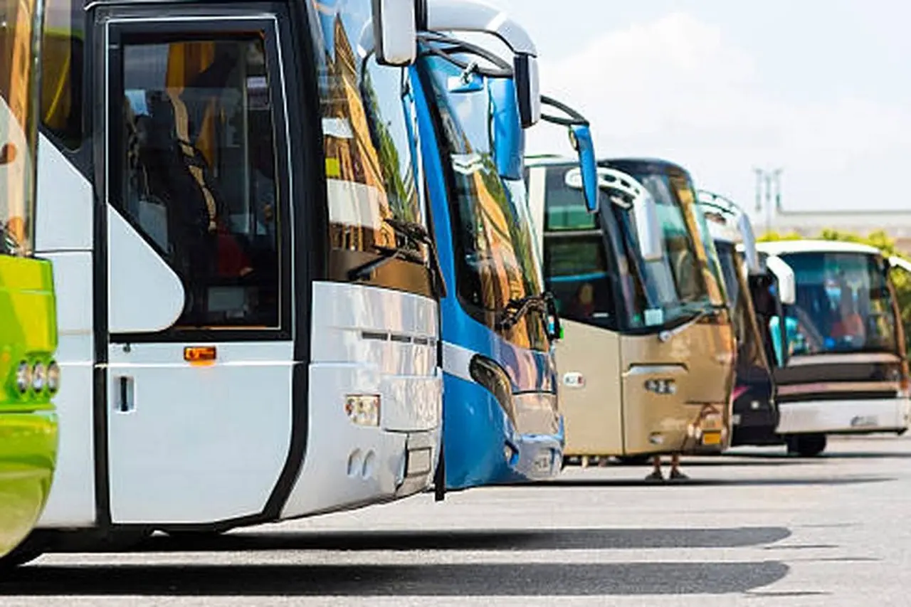 Sopir Bus di Vietnam Didenda Rp 37 Juta Akibat Angkut 83 Penumpang dalam Kapasitas 45 Orang