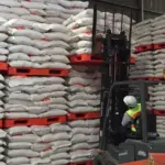 Strategi Bulog Ekspor 1 Juta Ton Beras ke Asia Tenggara dan Penuhi Kebutuhan Haji Tahun 2026