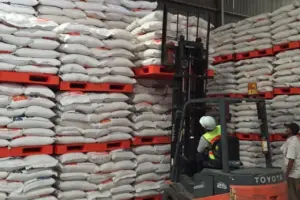 Strategi Bulog Ekspor 1 Juta Ton Beras ke Asia Tenggara dan Penuhi Kebutuhan Haji Tahun 2026