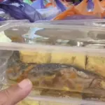 BGN Hentikan Sementara SPPG Pamekasan, Tanggapi Polemik Menu Lele Mentah Program Makan Bergizi Gratis