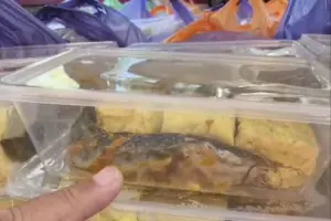 BGN Hentikan Sementara SPPG Pamekasan, Tanggapi Polemik Menu Lele Mentah Program Makan Bergizi Gratis