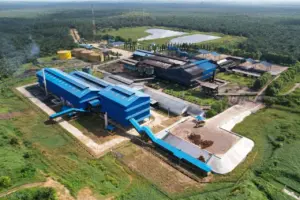 BWPT Umumkan Kenaikan Laba Bersih 39 Persen di 2025, Pendapatan Tembus Rp 5,8 Triliun Berkat Optimalisasi Kinerja