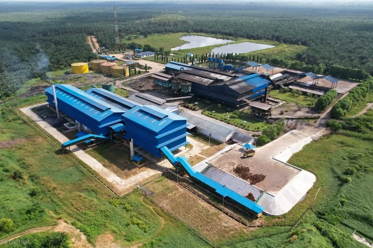 BWPT Umumkan Kenaikan Laba Bersih 39 Persen di 2025, Pendapatan Tembus Rp 5,8 Triliun Berkat Optimalisasi Kinerja