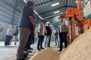 Dirut Bulog Ahmad Rizal Ramdhani Dorong Pemanfaatan Sekam Padi untuk Nilai Ekonomi di Sulawesi Selatan