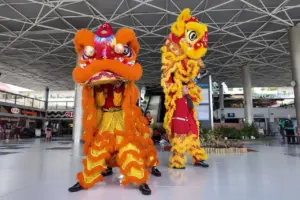 Pakar Ungkap Dinamika Identitas Tionghoa di Indonesia: Dari Peranakan hingga Fenomena “Chindo”