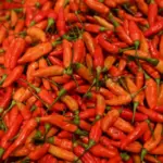 Pemerintah Kirim 1,18 Ton Cabai Enrekang ke NTB via Udara, Tekan Gejolak Harga Pangan