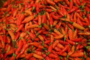 Pemerintah Kirim 1,18 Ton Cabai Enrekang ke NTB via Udara, Tekan Gejolak Harga Pangan