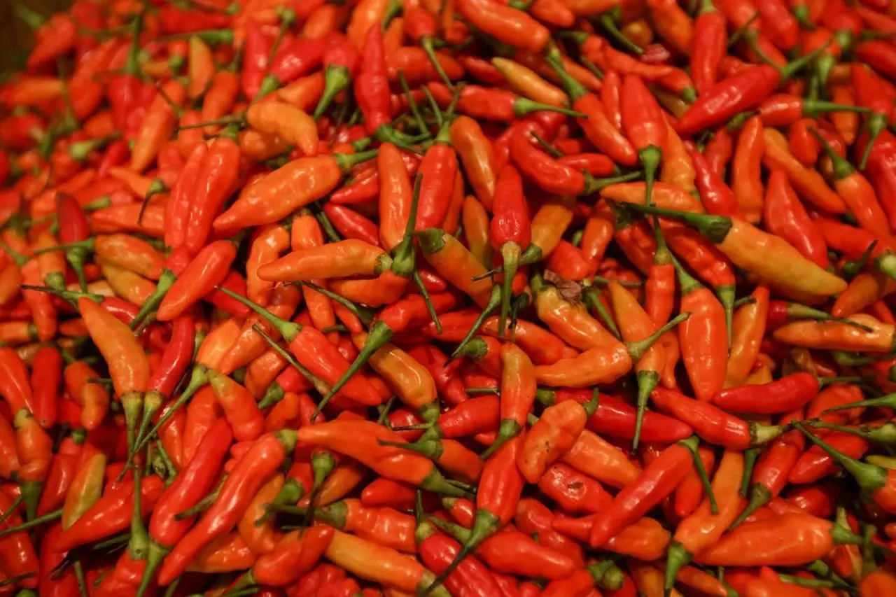 Pemerintah Kirim 1,18 Ton Cabai Enrekang ke NTB via Udara, Tekan Gejolak Harga Pangan