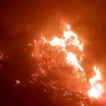 TNBTS Tutup Total Gunung Bromo Imbas Kebakaran Meluas 520 Hektare